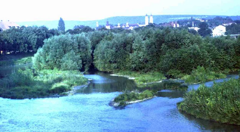 046.jpg