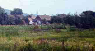 053-1.jpg