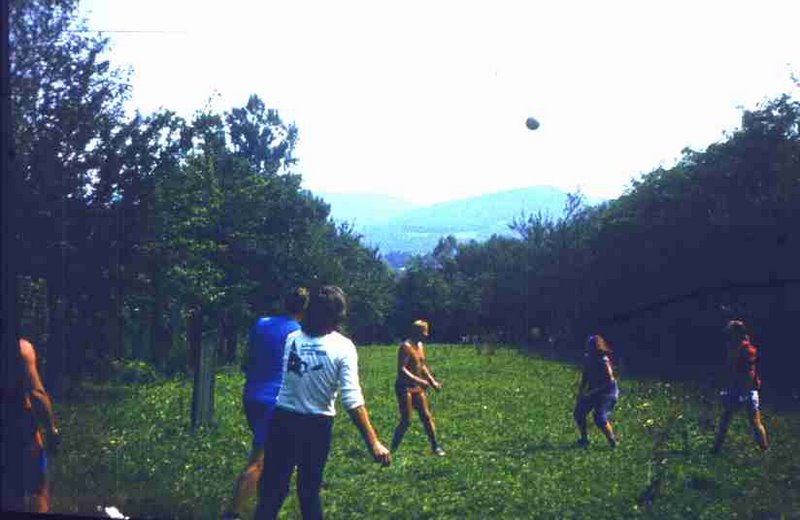 071.jpg
