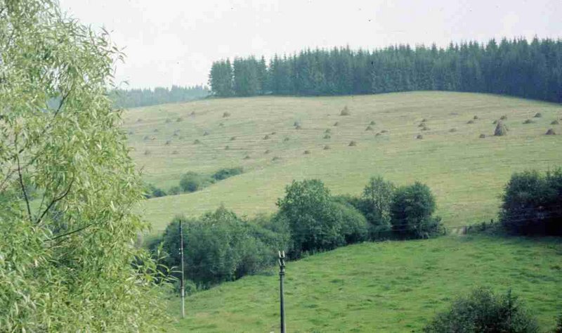 120.jpg