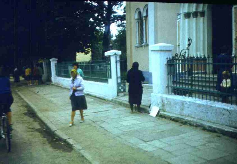 141.jpg