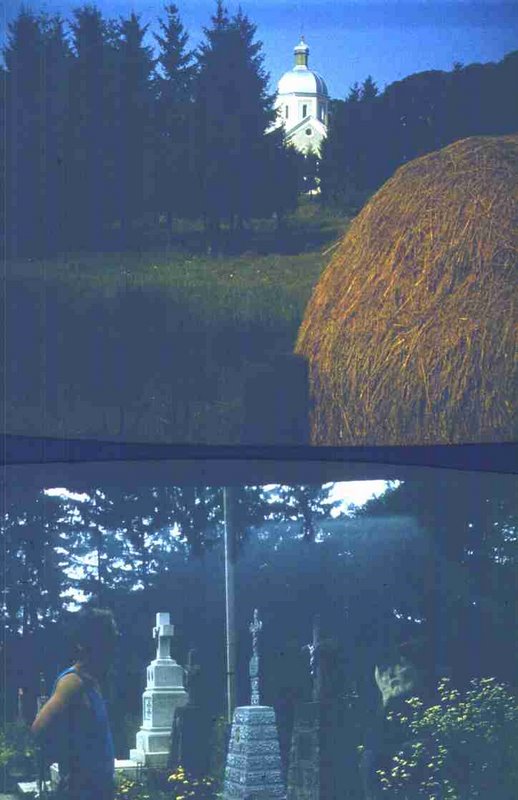 161.jpg