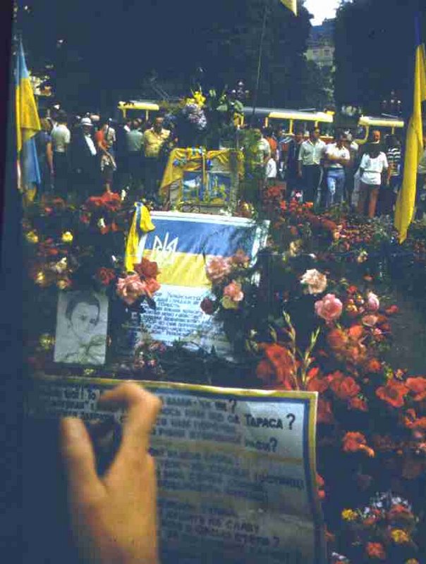 216.jpg