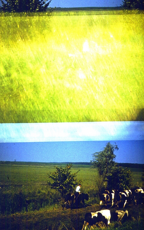 319.jpg