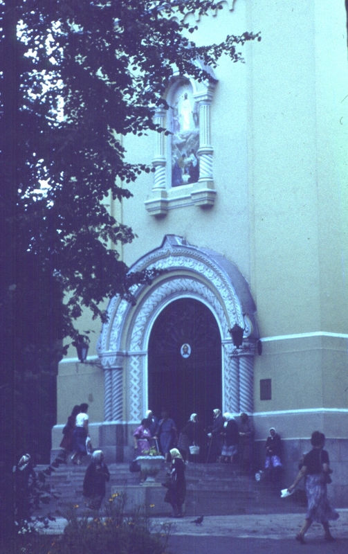 346.jpg
