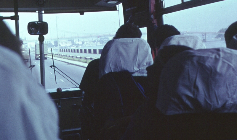 390.jpg