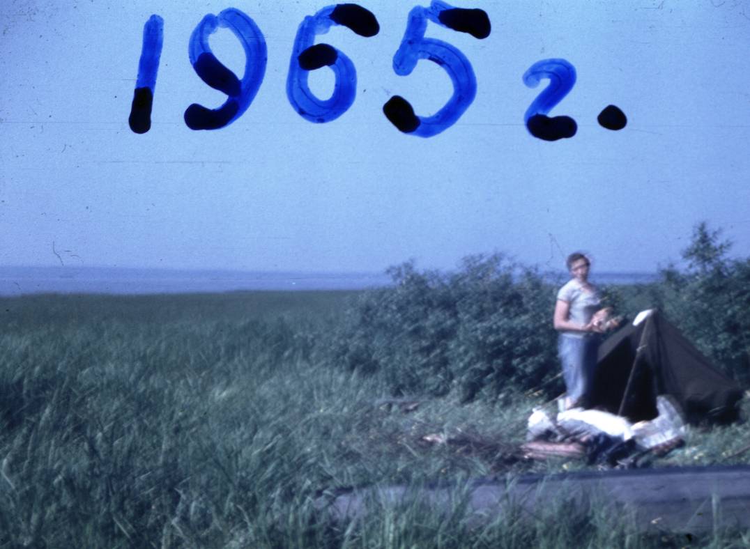 009.JPG