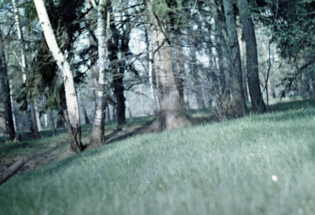 053.JPG