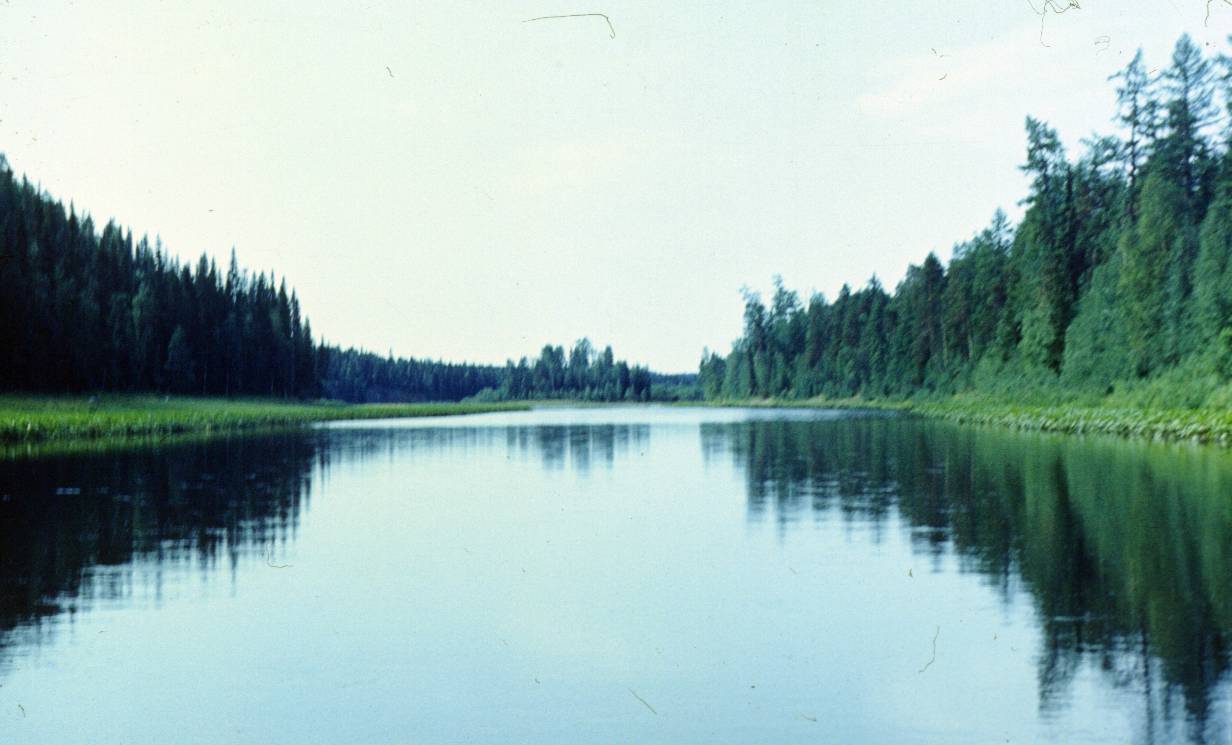 100.JPG