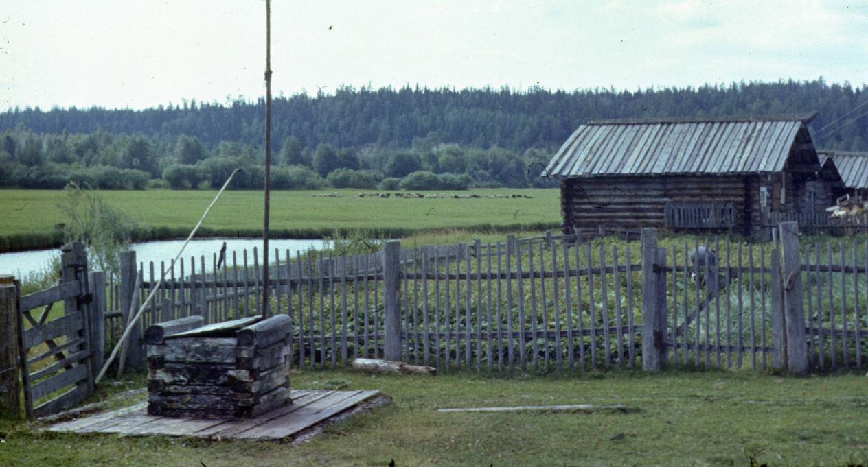 119.JPG