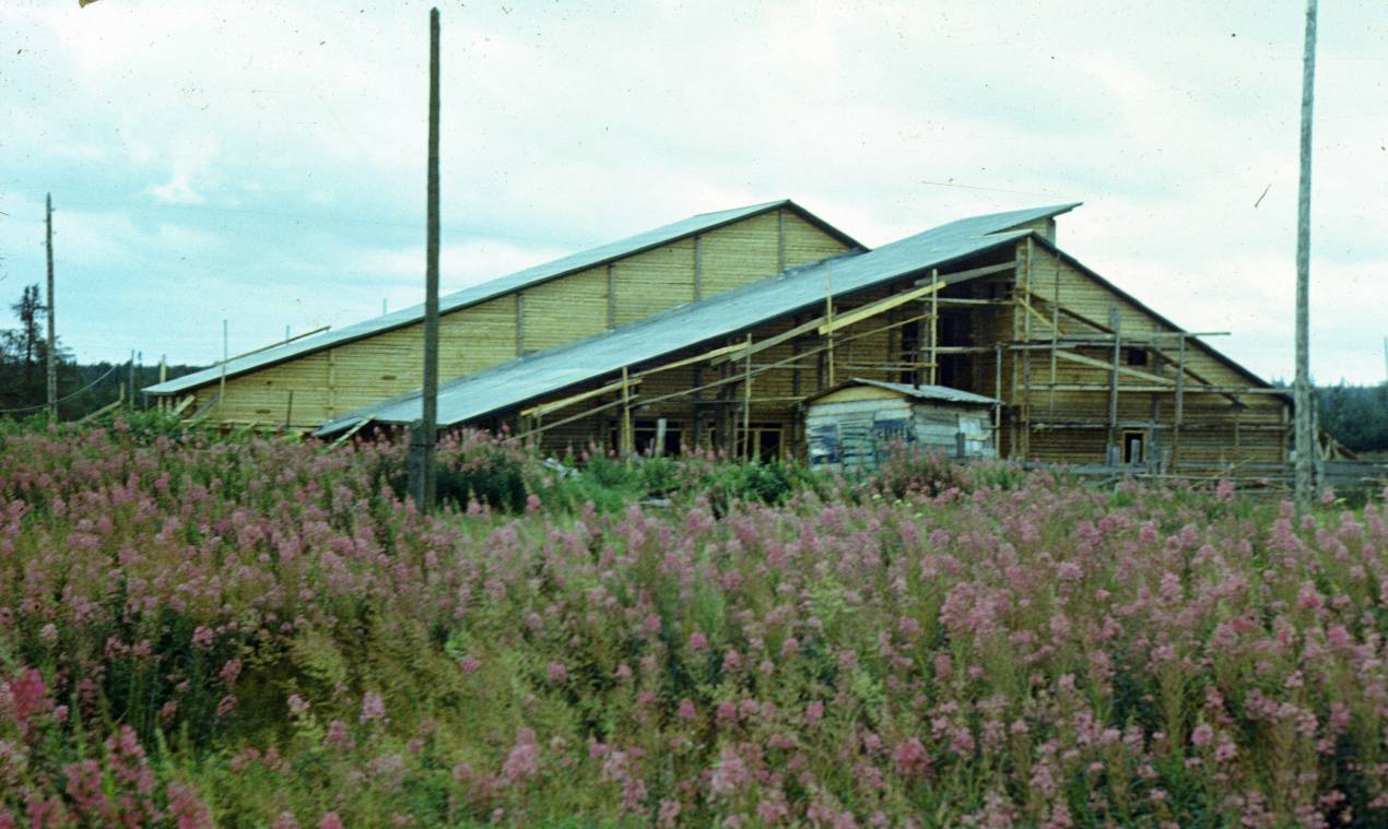 129.JPG