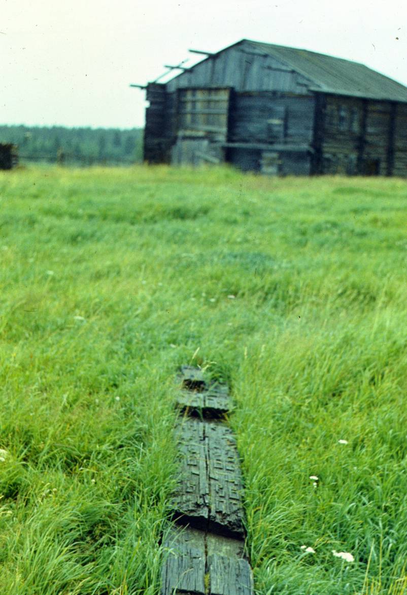 204.JPG