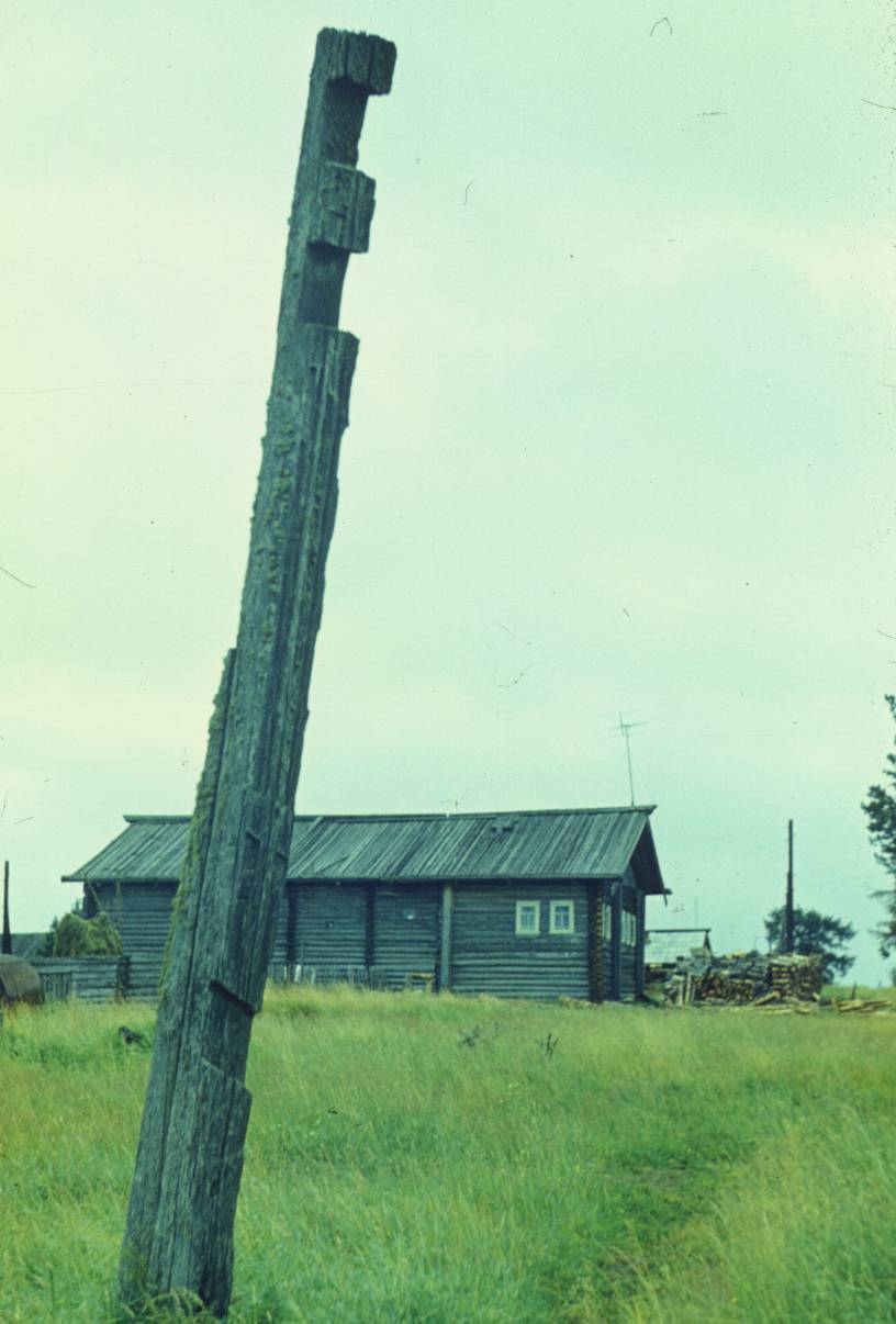 205.JPG