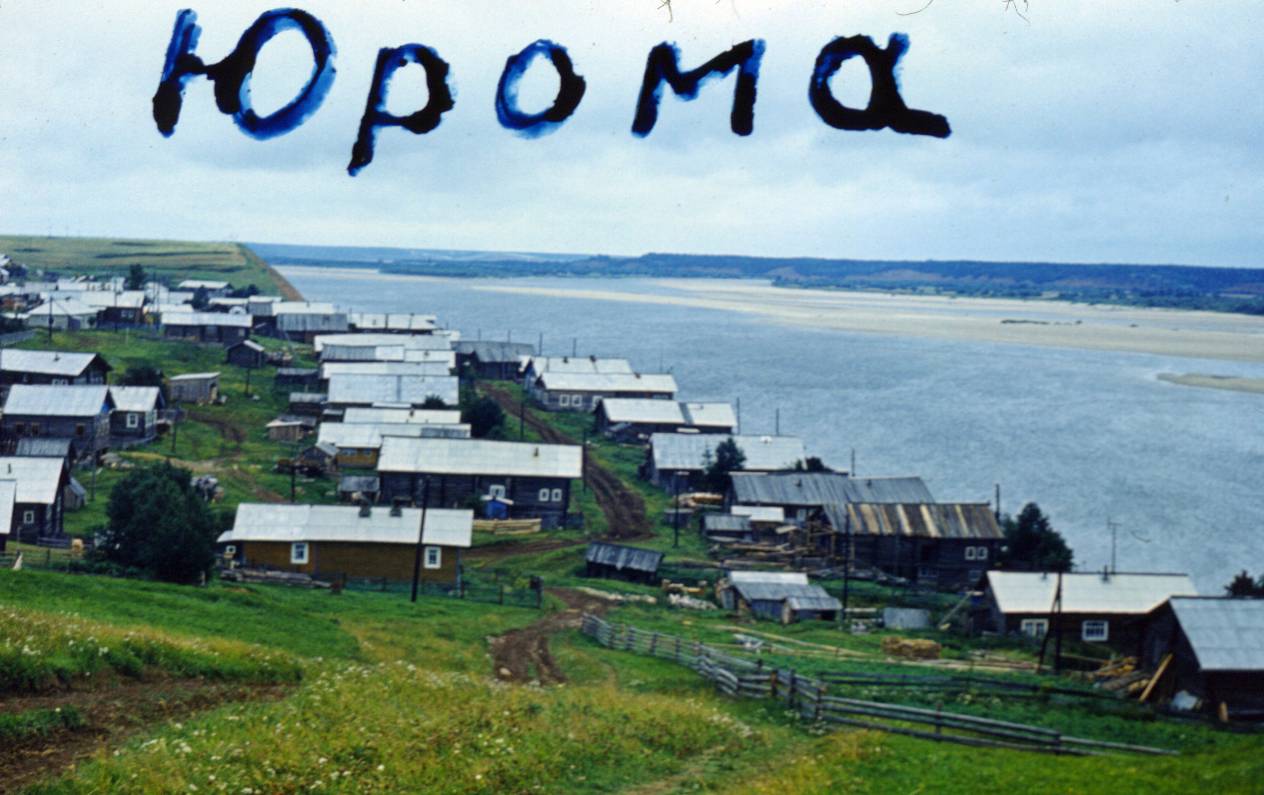 216.JPG