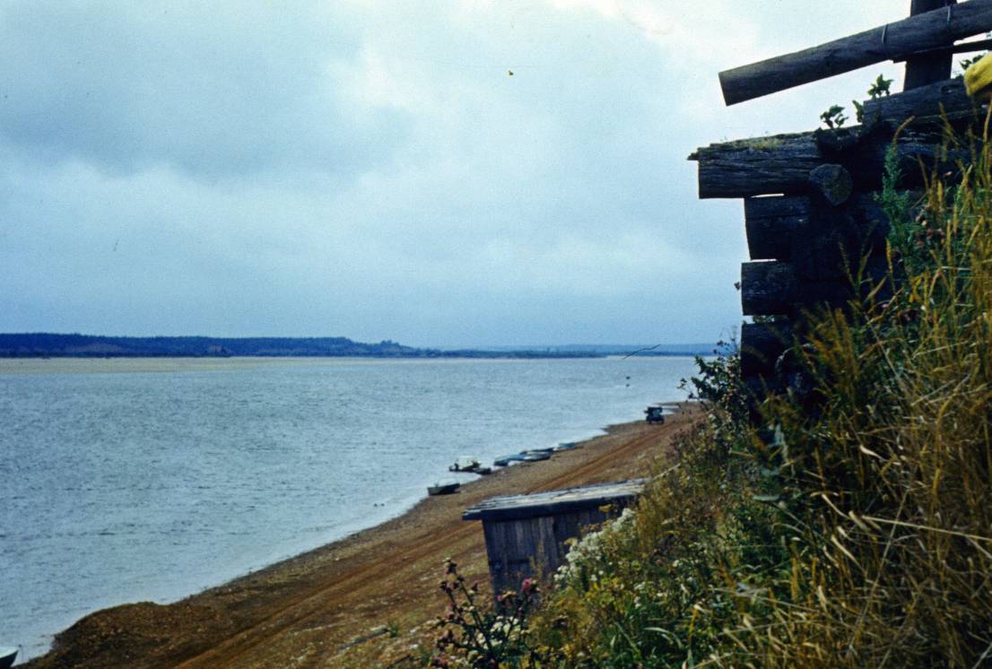 217.JPG