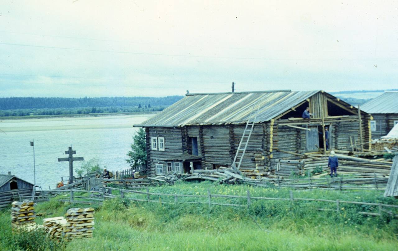223.JPG