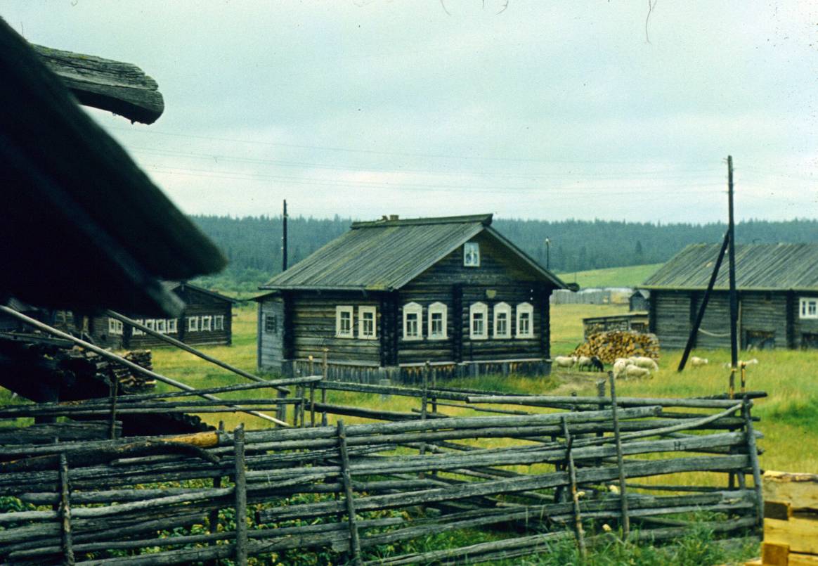 225.JPG
