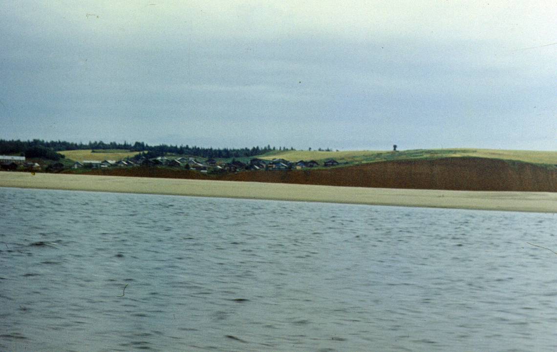 245.JPG