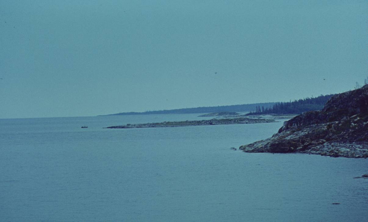 251.JPG