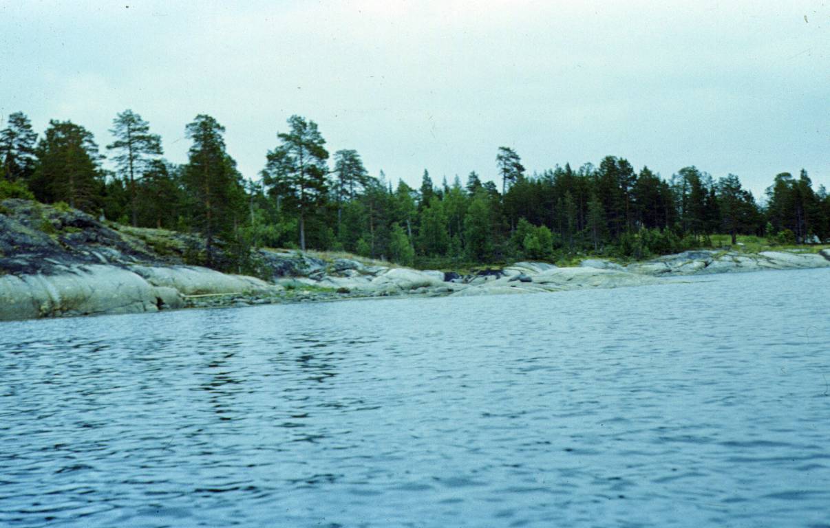 264.JPG