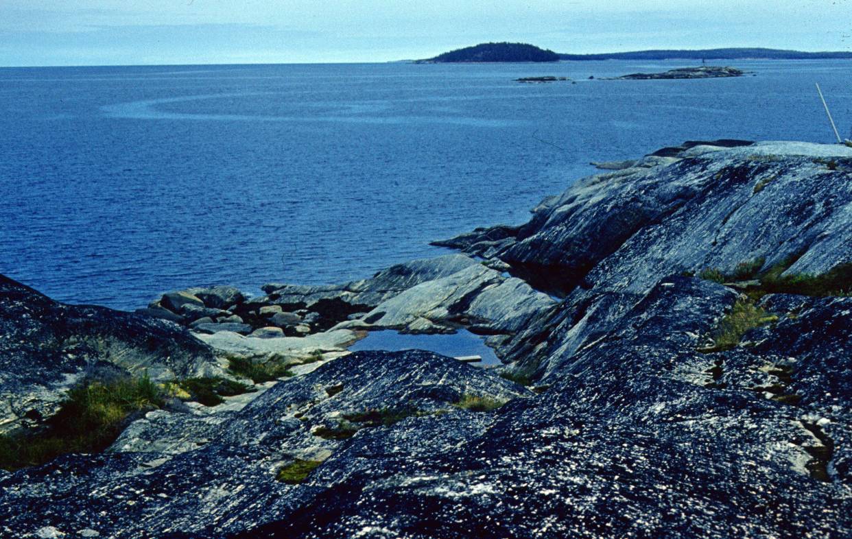 267.JPG