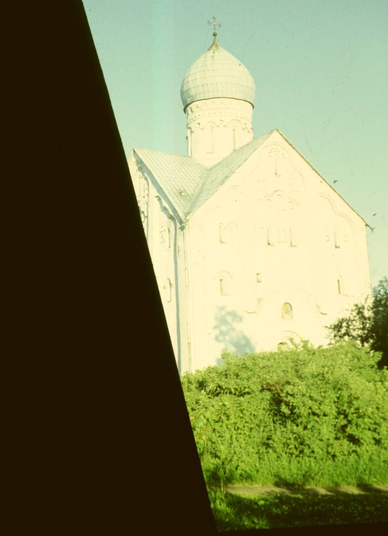 033.JPG