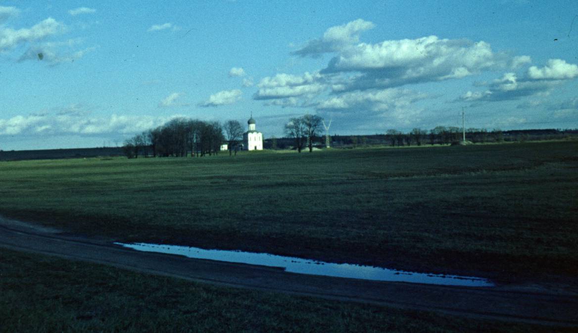 005.JPG
