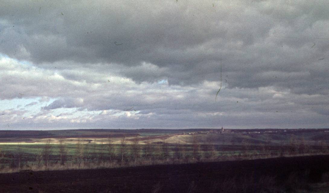 017.JPG