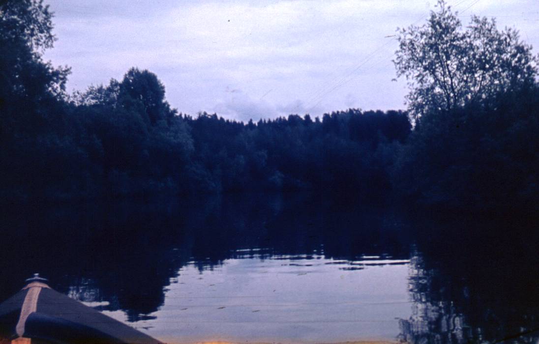 154.JPG