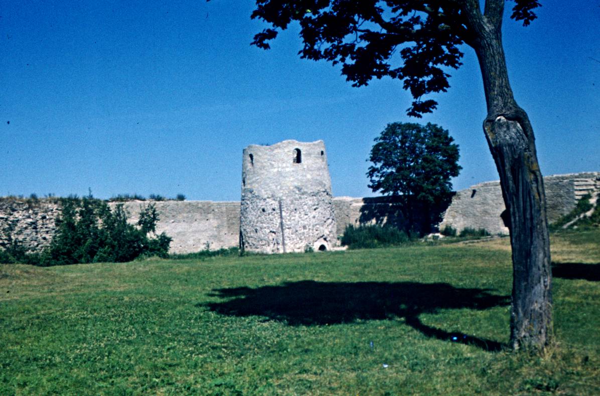 042.JPG