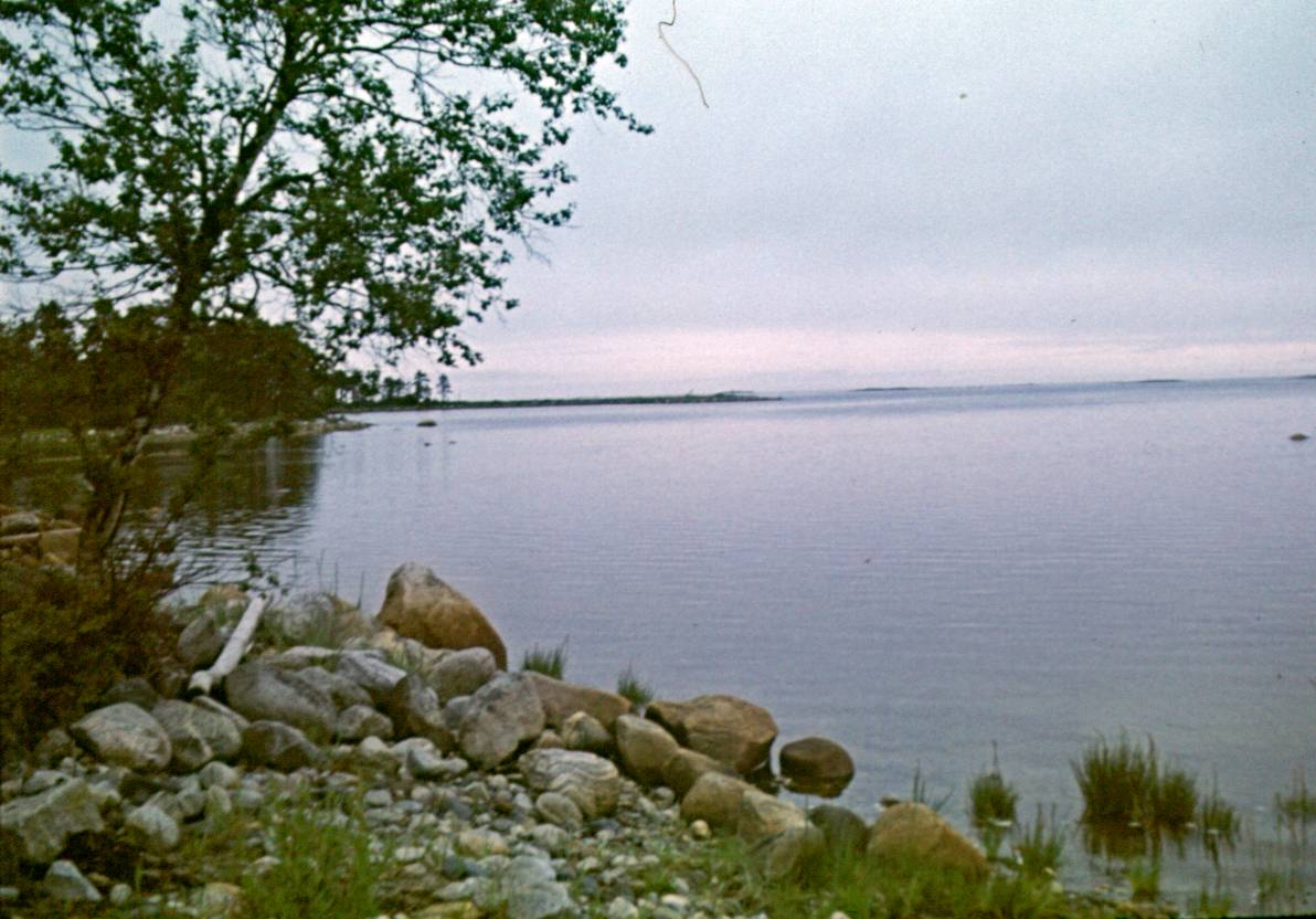 015.JPG
