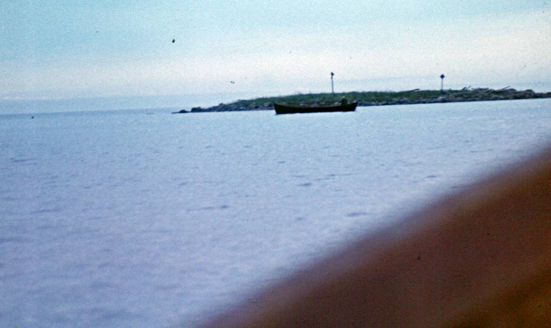 063.JPG