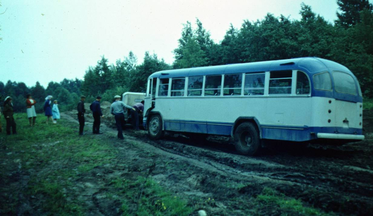 003.JPG