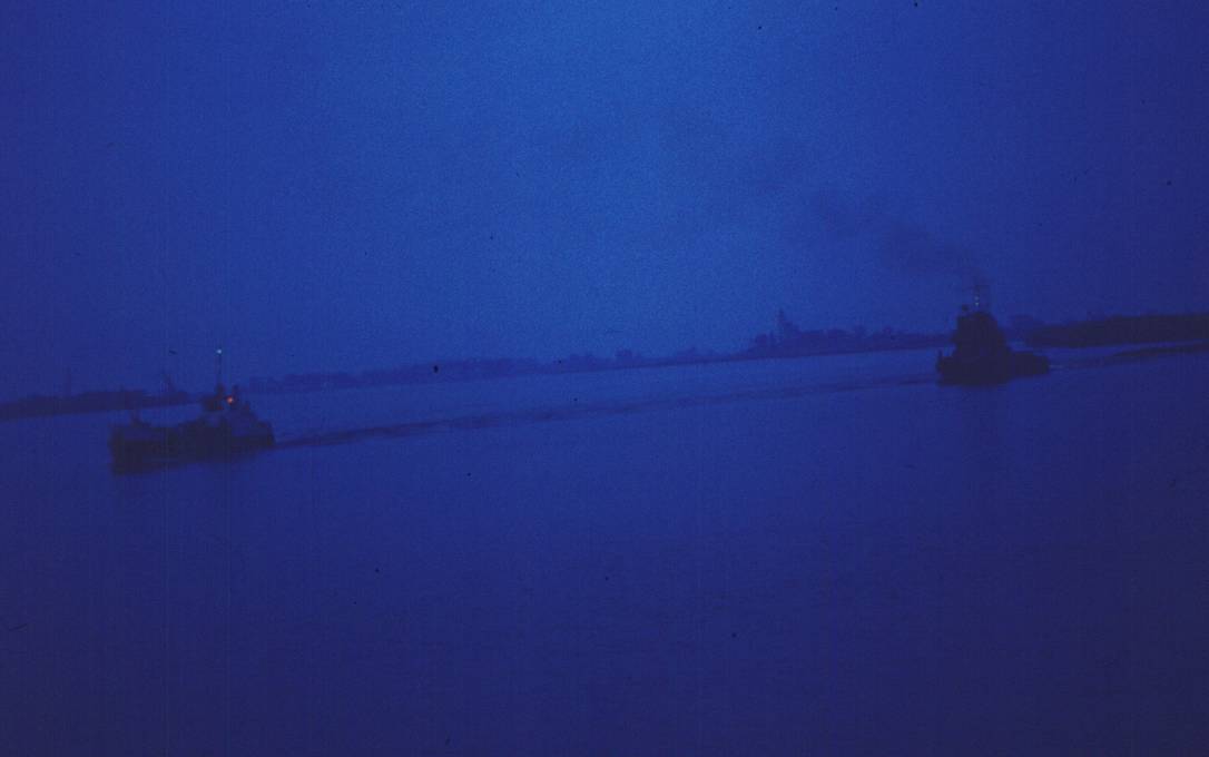 017.JPG