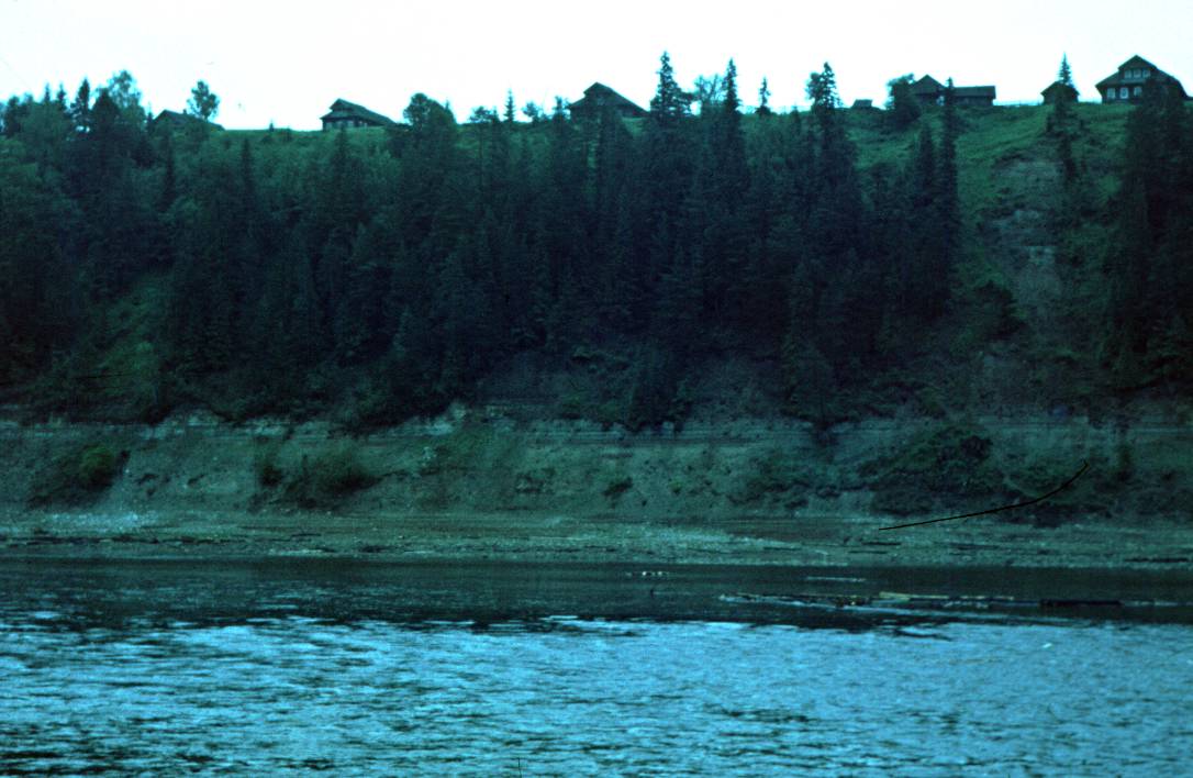 060.JPG