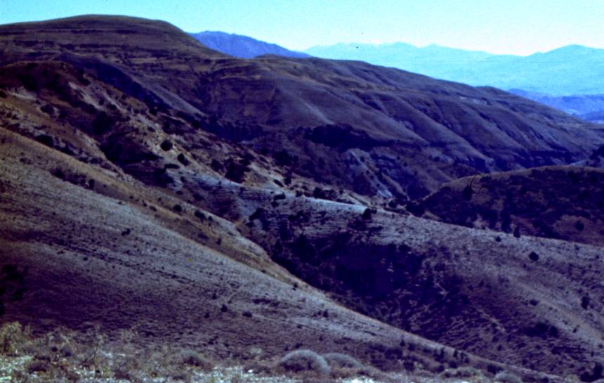 105a.JPG