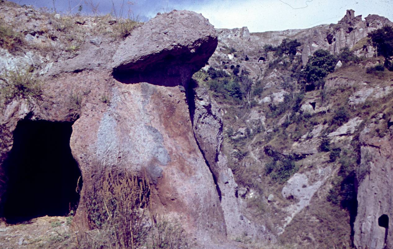 131.JPG