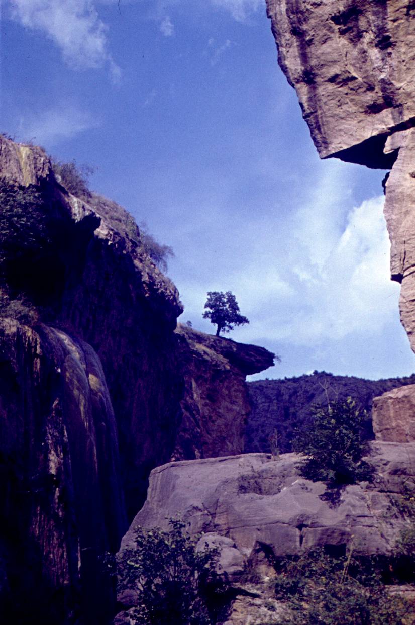 143.JPG