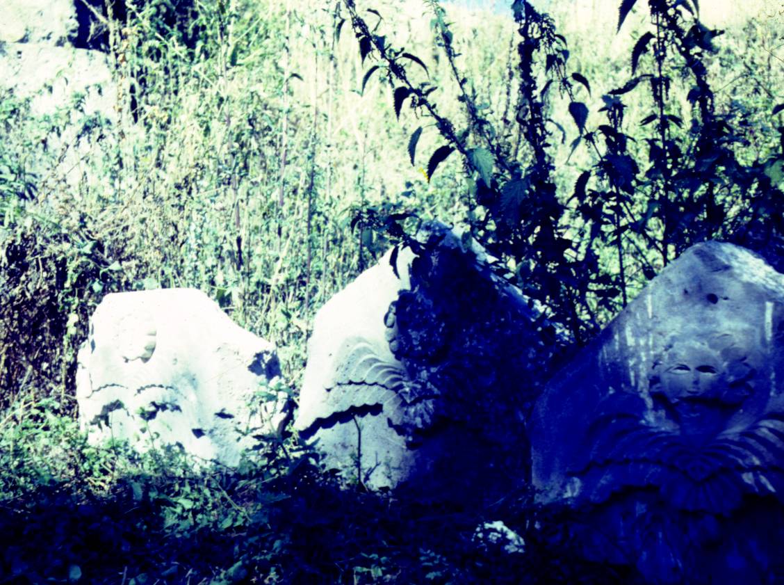 173.JPG