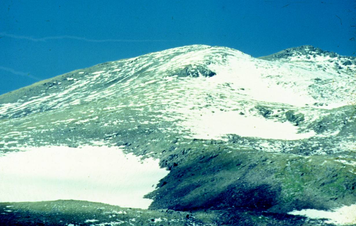 205.JPG