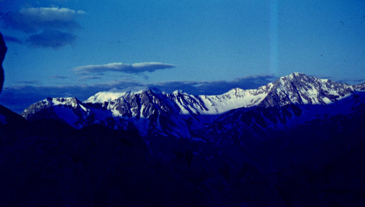 003.JPG