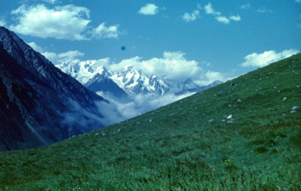 131.JPG