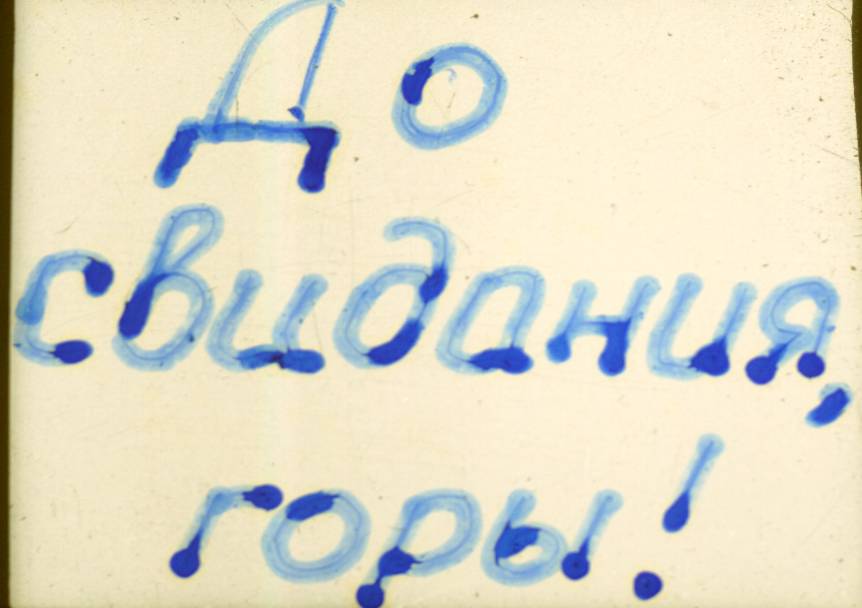181.JPG