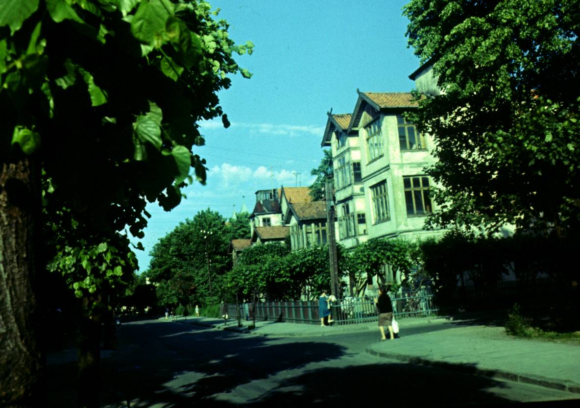 030.JPG