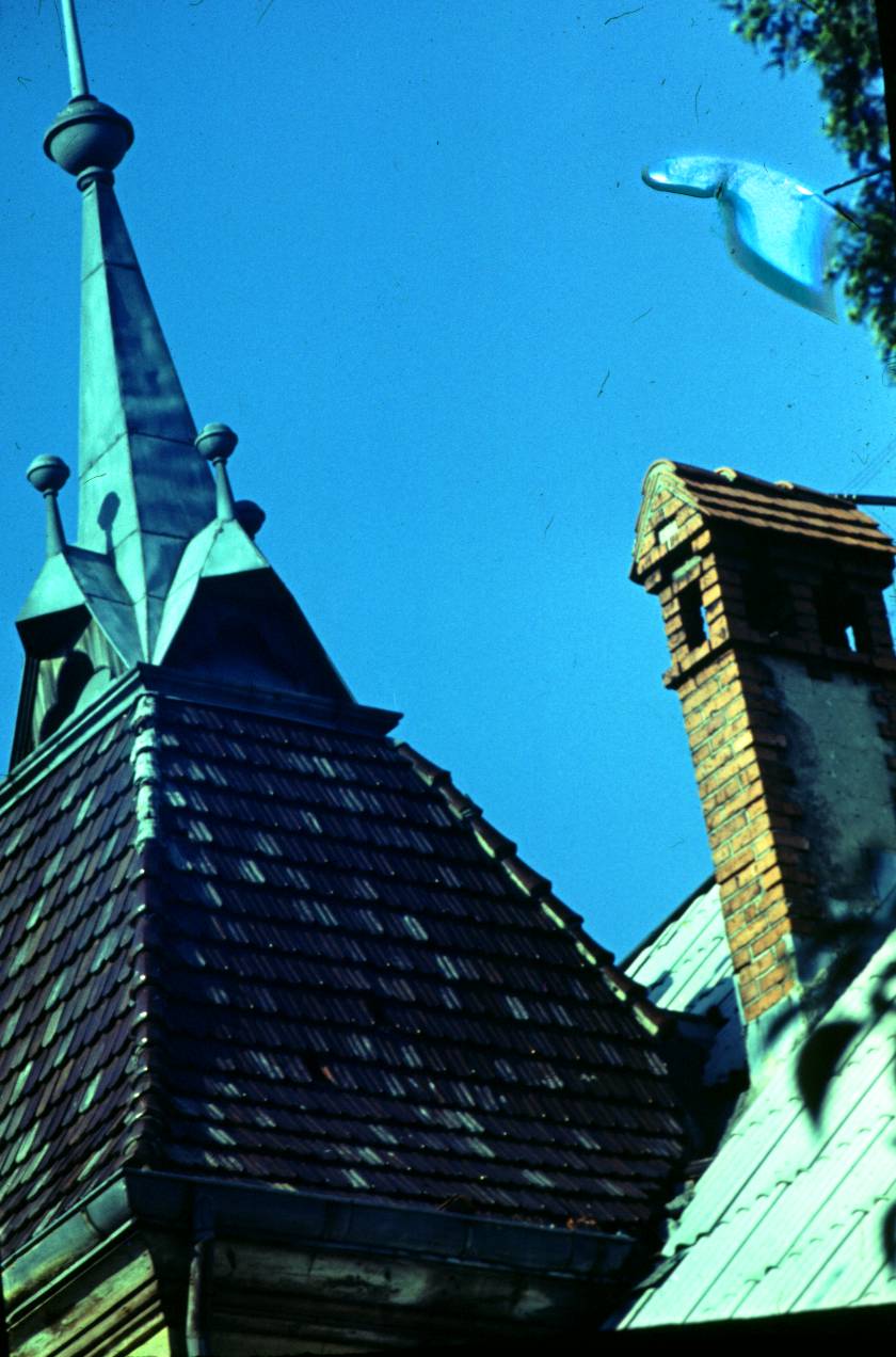 036.JPG