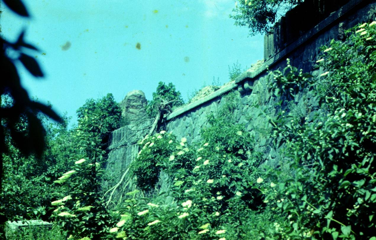 063.JPG