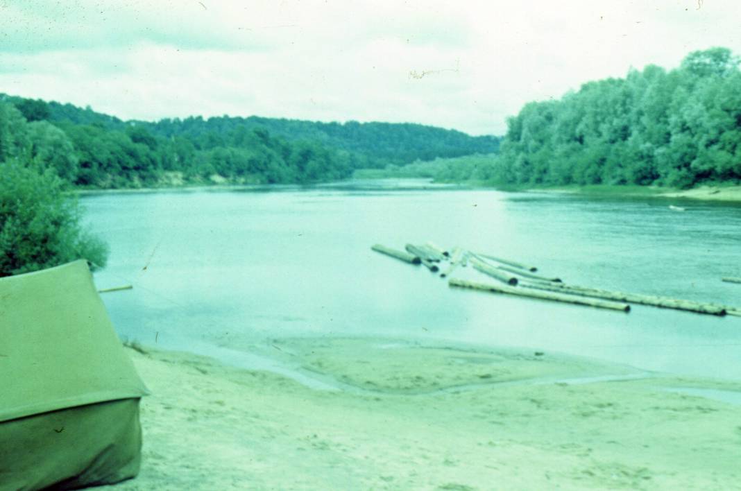 004.JPG