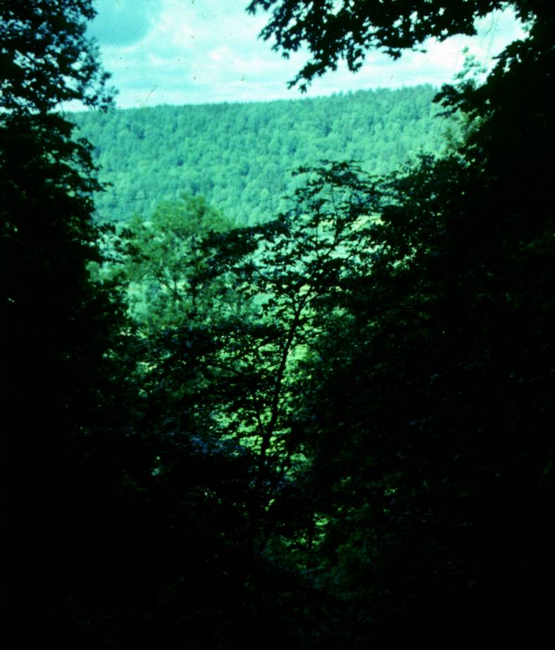 006.JPG