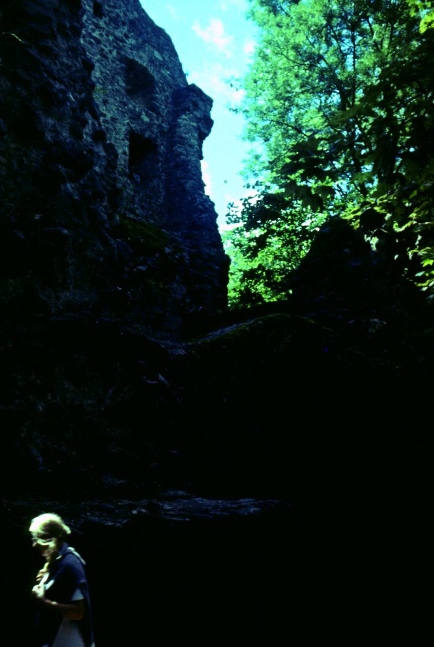 011.JPG