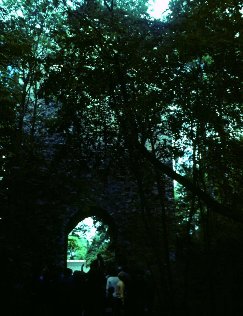 018.JPG